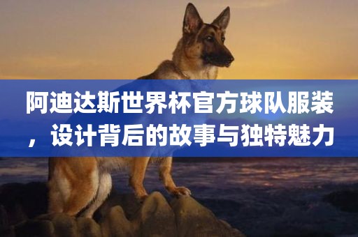 阿迪达斯世界杯官方球队服装,设计背后的故事与独特魅力黄冈市中杰窑炉设备有限公司