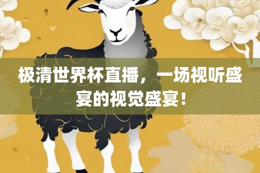 极清世界杯直播，一场视听盛宴的视觉盛宴！黄冈市中杰窑炉设备有限公司