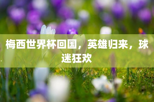 梅西世界杯回国,英雄归来,球迷狂欢