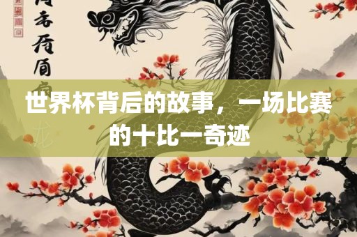 世界杯背后的故事,一场比赛的十黄冈市中杰窑炉设备有限公司比一奇迹