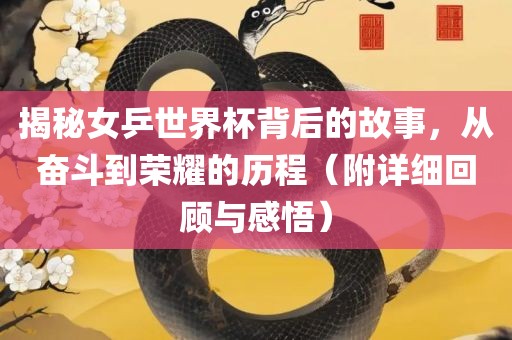 揭秘女乒世界杯背后的故事,从奋斗到荣耀的历程(附详细回顾与感悟)黄冈市中杰窑炉设备有限公司