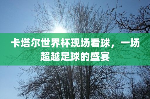 卡塔尔世界杯现场看球，一场超越足球的盛宴