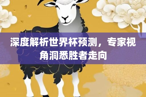 深度解析世界杯预测,专家视角洞悉胜者走向