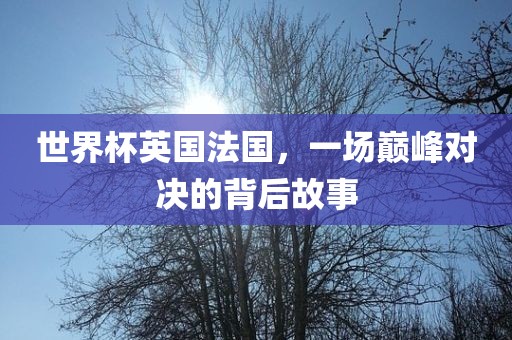 世界杯英国法国,一场巅峰对决的背后故事黄冈市中杰窑炉设备有限公司