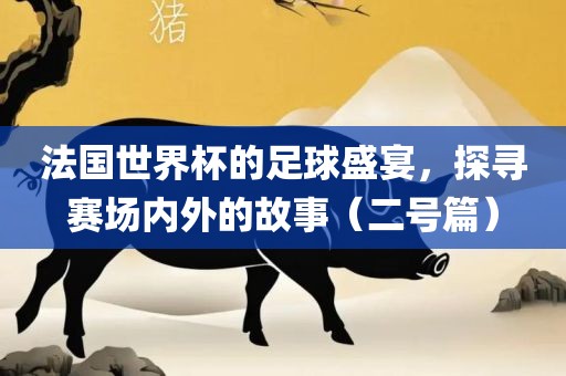 法国世界杯的足球盛宴,探寻赛场内外的故事(二号篇)