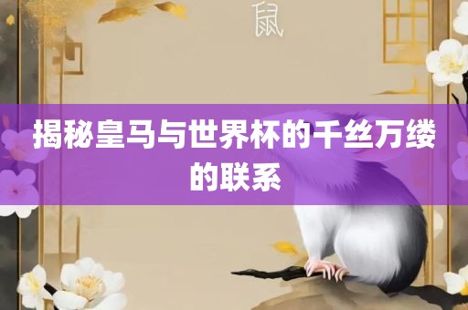 揭秘皇马与世界杯的千丝万缕的联系黄冈市中杰窑炉设备有限公司