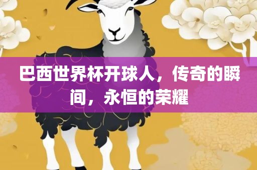 巴西世界杯开球人，传奇的瞬间，永恒的荣耀