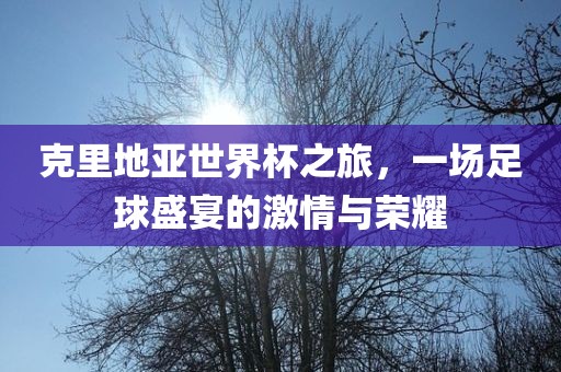 克里地亚世界杯之旅,一场足球盛宴的激情与荣耀黄冈市中杰窑炉设备有限公司