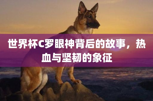 世界杯C罗眼神背后的故事，热血与坚韧的象征黄冈市中杰窑炉设备有限公司