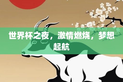 世界杯之夜,激情燃烧,梦想起航