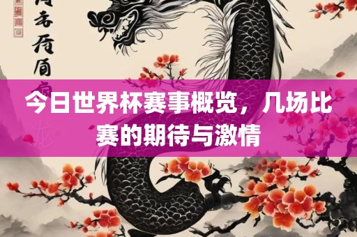 今日世界杯赛事概览，几场比赛的期待与激情