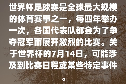 世界杯足球赛是全球最大规模的体育赛事之一，每四年举办一次，各国代表队都会为了争夺冠军而展开激烈的比赛。关于世界杯的7月14日，可能涉及到比赛日程或某些特定事件。黄冈市中杰窑炉设备有限公司