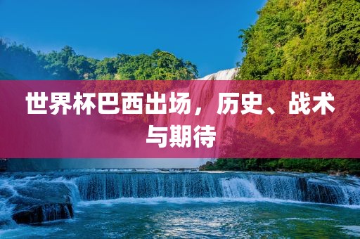 世界杯巴西出场,历史、战术与期待黄冈市中杰窑炉设备有限公司