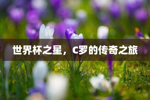 世界杯之星,C罗的传黄冈市中杰窑炉设备有限公司奇之旅