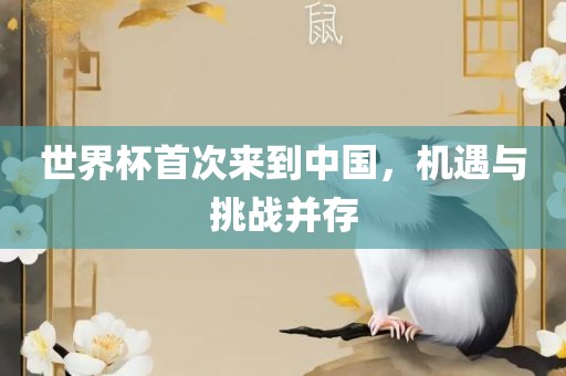 世界杯首次来到中国，机遇与挑战并存