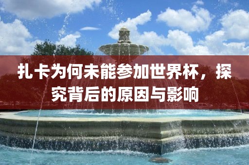 扎卡为何未能参加世界杯,探究背后的原因与影响