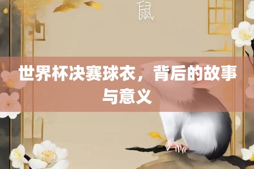 世界杯决赛球衣,背后的故事与意义黄冈市中杰窑炉设备有限公司