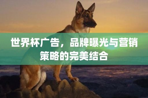 世界杯广告，品牌曝光与营销策略的完美结合