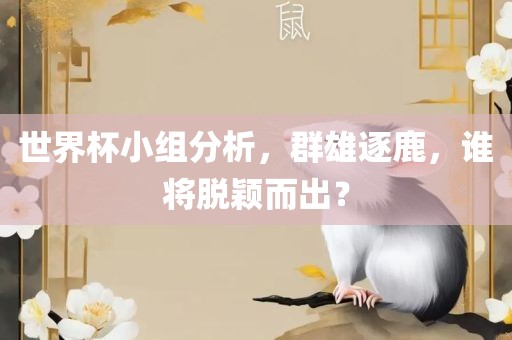 世界杯小组分析,群雄逐鹿,谁将脱颖而出?黄冈市中杰窑炉设备有限公司