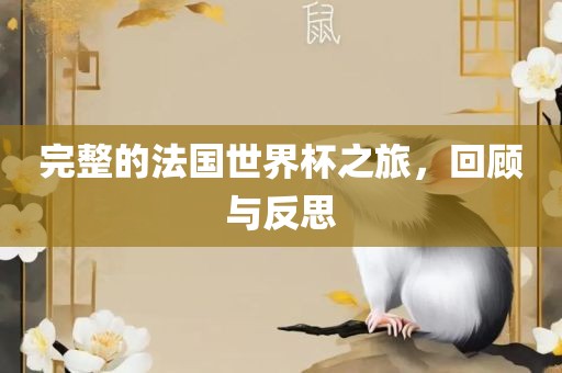 完整的法国世界杯之旅，回顾与反思