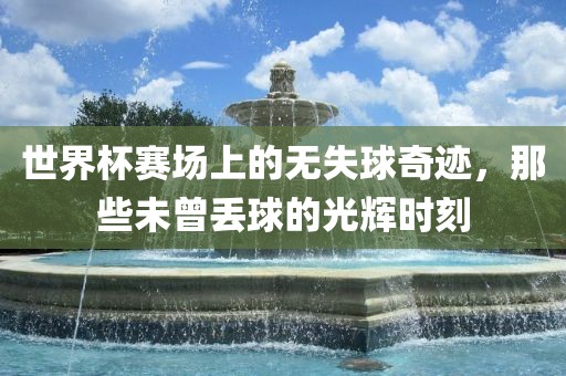 世界杯赛场上的无失球奇迹,那些未曾丢球的光辉时刻黄冈市中杰窑炉设备有限公司