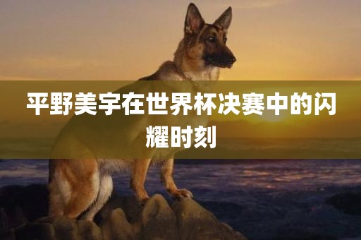 平野美宇在世界杯决赛中的闪耀时刻黄冈市中杰窑炉设备有限公司