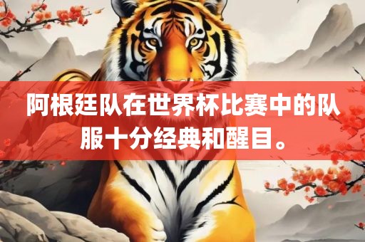 阿根廷队在世界杯比赛中的队服十分经典和醒目。