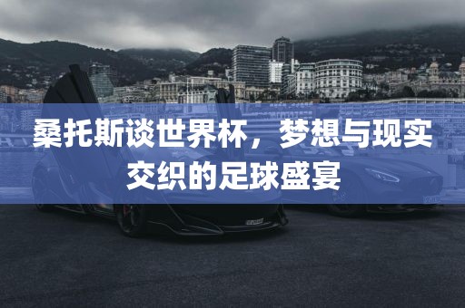 桑托黄冈市中杰窑炉设备有限公司斯谈世界杯,梦想与现实交织的足球盛宴