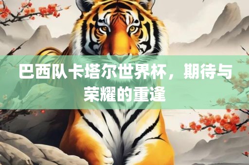 巴西队卡塔尔世界杯,期待与荣耀的重逢