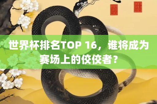 世界杯排名TOP 16,谁将成为赛场上的佼佼者?