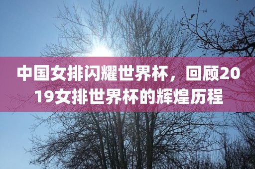 中国女排闪耀世界杯,回顾2019女排世界杯的辉煌历程