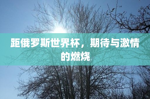 距俄罗斯世界杯,期待与激情的燃烧