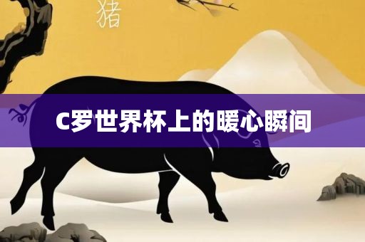 C罗世界杯上的暖心瞬间