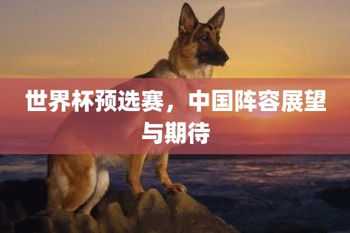 世界杯预选赛，中国阵容展望与期待黄冈市中杰窑炉设备有限公司