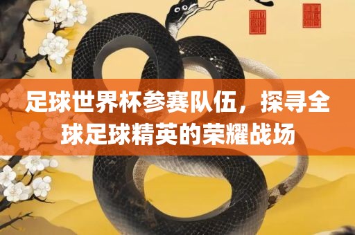 足球世界杯参赛队伍,探寻全球足球精英的荣耀战场黄冈市中杰窑炉设备有限公司