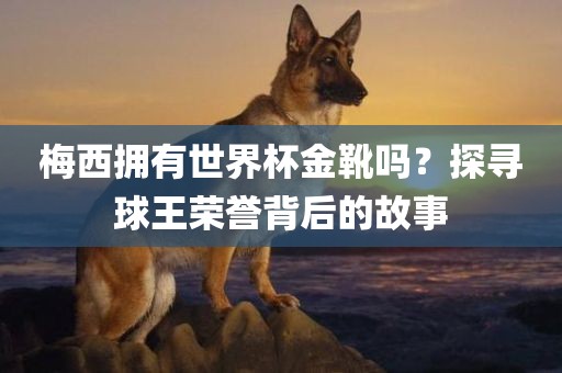 梅西拥有世界杯金靴吗?探寻球王荣誉背后的故事