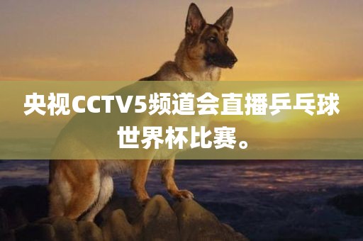 央视CCTV5频道会直播乒乓球世界杯比赛。