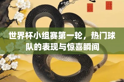 世界杯小组赛第一轮,热门球队的表现与惊喜瞬间