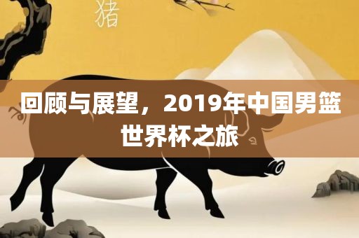 回顾与展望,2019年中国男篮世界杯之旅