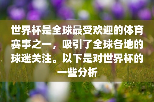 世界杯是全球最受欢迎的体育赛事之一，吸引了全球各地的球迷关注。以下是对世界杯的一些分析黄冈市中杰窑炉设备有限公司