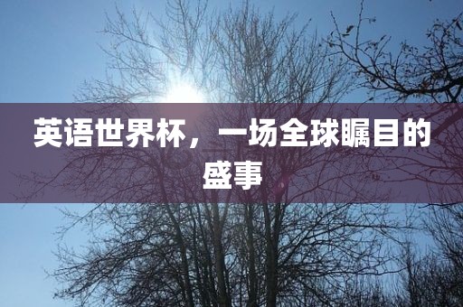 英语世界杯,一场全球瞩目的盛事