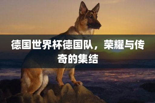 德国世界杯德国队,荣耀与传奇的集结