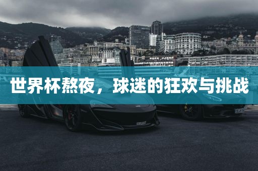 世界杯熬夜黄冈市中杰窑炉设备有限公司,球迷的狂欢与挑战