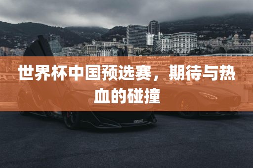 世界杯中国预选赛,期待与热血的碰撞