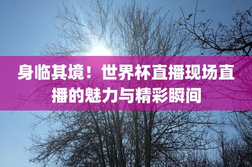 身临其境！世界杯直播现场直播的魅力与精彩瞬间黄冈市中杰窑炉设备有限公司