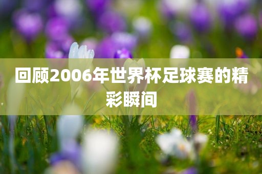 回顾2006年世界杯足球赛的精彩瞬间黄冈市中杰窑炉设备有限公司