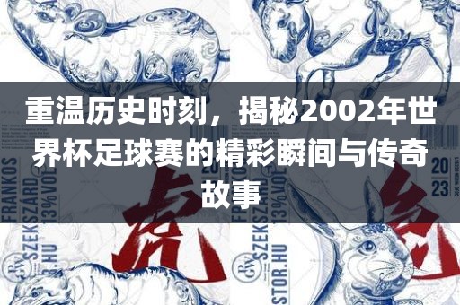 重温历史时刻，揭秘2002年世界杯足球赛的精彩瞬间与传奇故事黄冈市中杰窑炉设备有限公司
