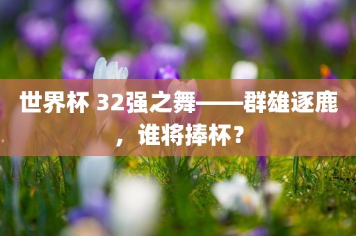 世界杯 32强之舞——群雄逐鹿,谁将捧杯?黄冈市中杰窑炉设备有限公司