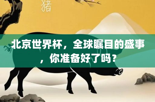 北京世界杯,全球瞩目的盛事,你准备好了吗?