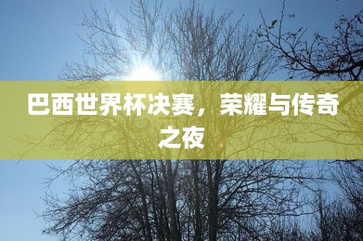 巴西世界杯决赛,荣耀与传奇之夜